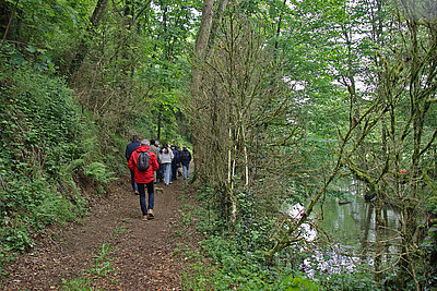 Sentier de la vallée de la Boulogne à Rocheservière Sentier de la vallée de la Boulogne à Rocheservière