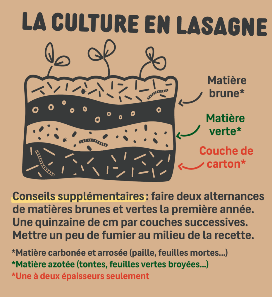 La culture en lasagne La culture en lasagne