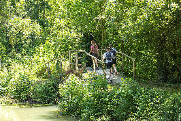Le Marais poitevin à Benet Le Marais poitevin à Benet
