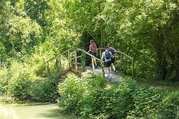 Le Marais poitevin à Benet