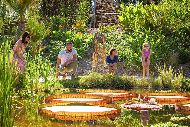 Le Potager Extraordinaire à La Roche-sur-Yon Le Potager Extraordinaire à La Roche-sur-Yon