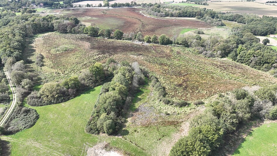 Cité des oiseaux vendée petit étang assec