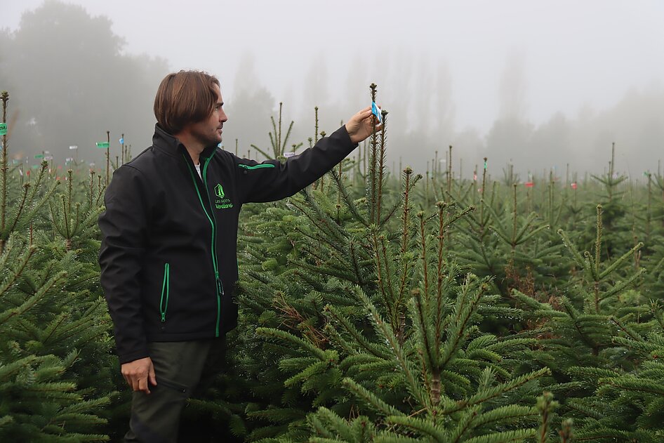Samuel Hermouet, gérant des Sapins vendéens à Essarts-en-Bocage.
