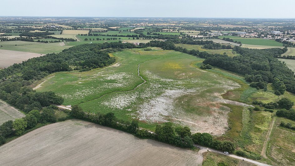 Cité des oiseaux Vendée étang assec