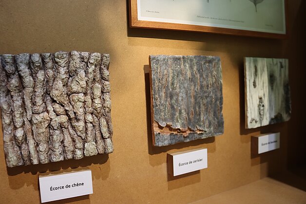 Les premiers pas au musée