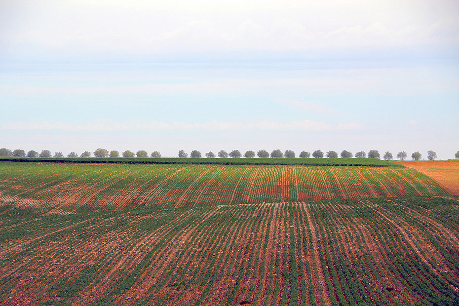 Paysage agricole en Vendée
