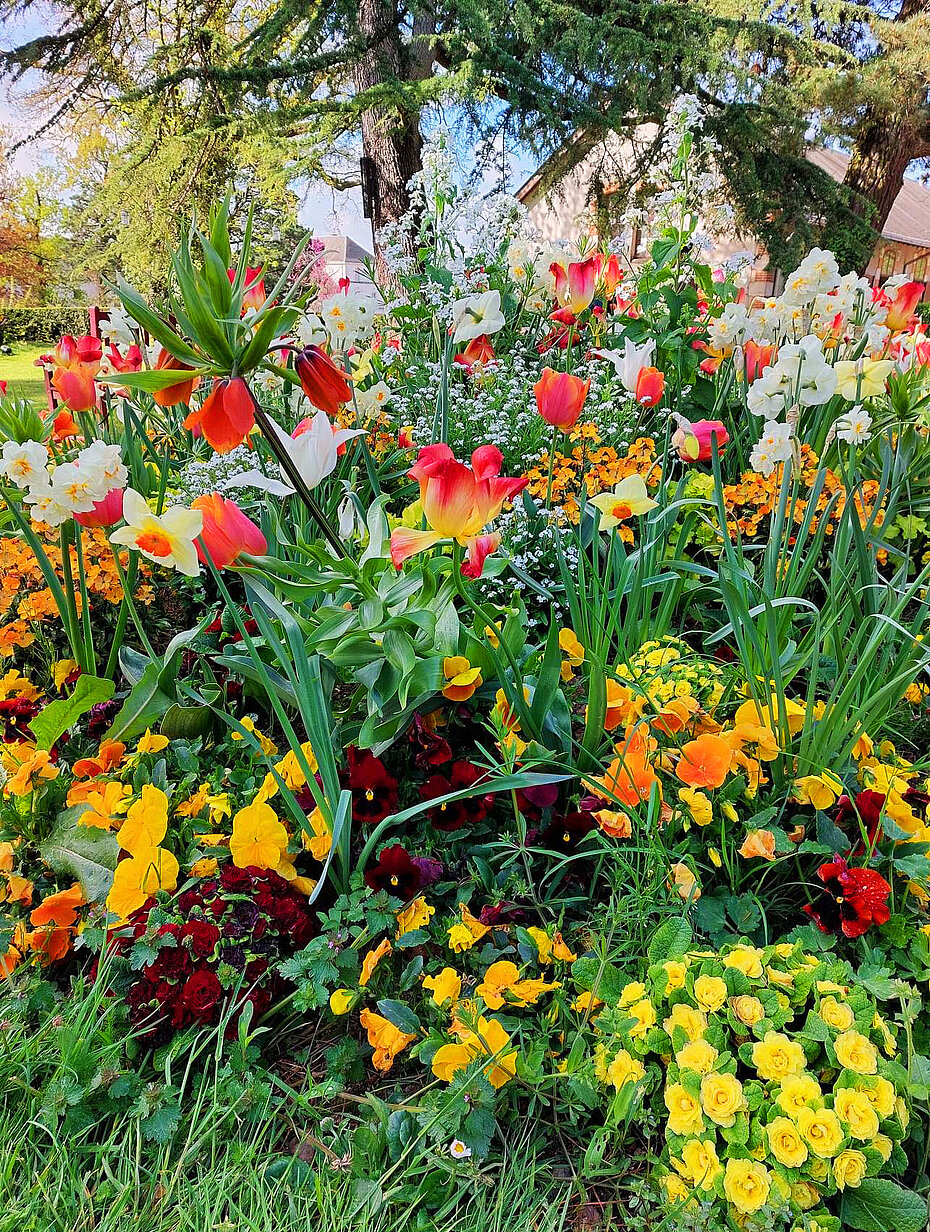 Photographie d'un plant de fleurs, fait à la main, au Haras de la Vendée