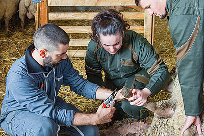 Les formations agricoles séduisent et se féminisent en Vendée.