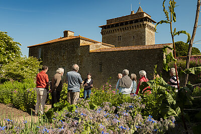 Une vue du donjon de Bazoges-en-Pareds lors d'une visite