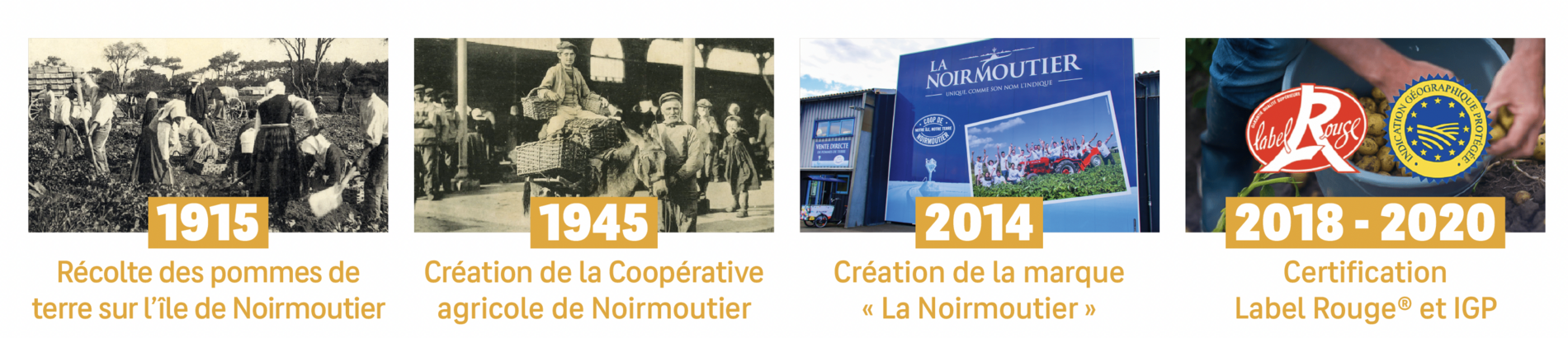 Histoire de la patate de Noirmoutier : 1915, Récolte des pommes de terre sur l'île de Noirmoutier. 1945, création de la Coopérative agricole de Noirmoutier. 2014, Création de la marque "La Noirmoutier". 2018 et 2020, Certification Label Rouge et IGP.