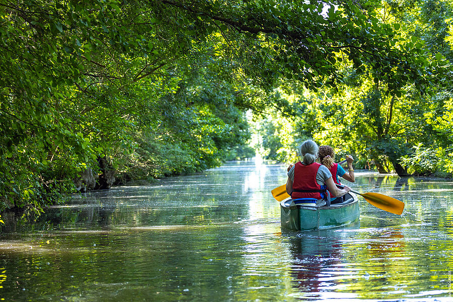 Le Marais poitevin, au Mazeau