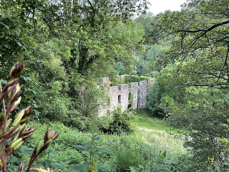 Les ruines de l'ancienne filature Les ruines de l'ancienne filature