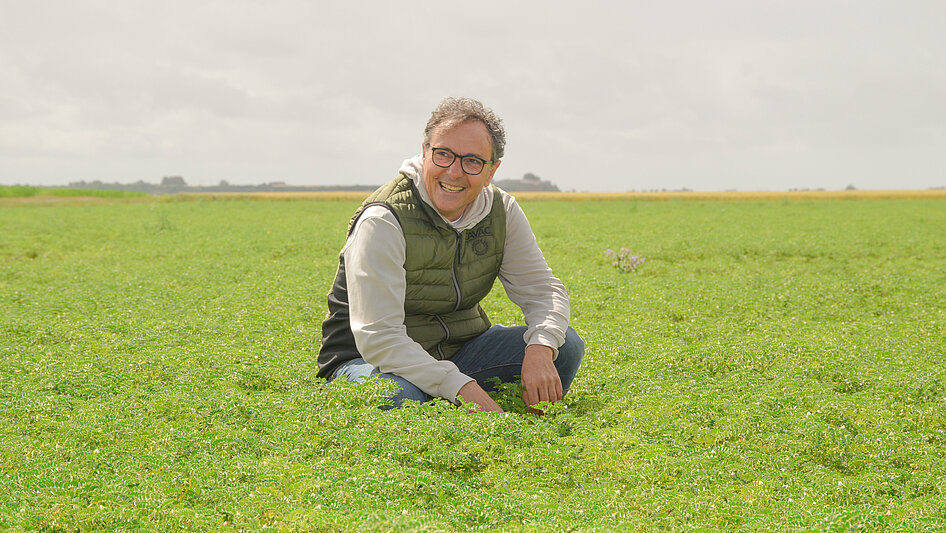 Au cœur des parcelles de pois chiches Label Rouge chez Didier Plaire, producteur Cavac 