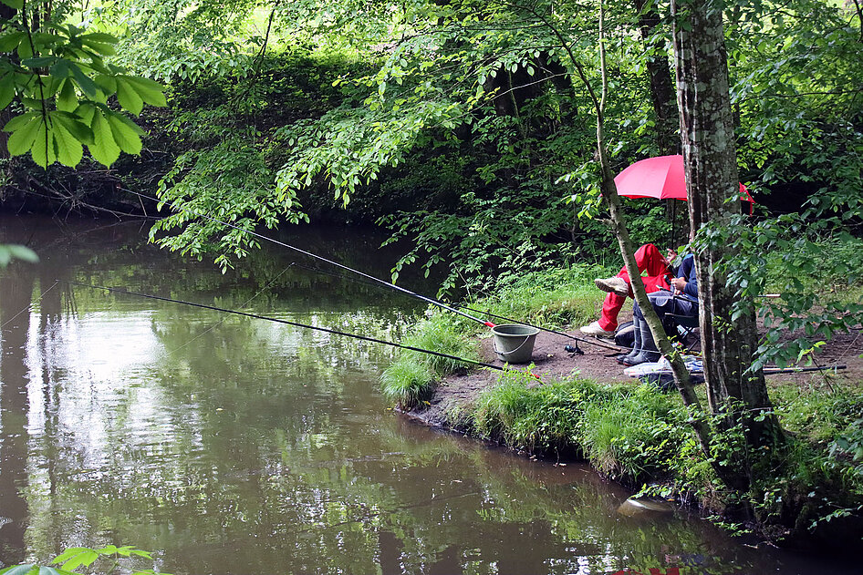 Le sentier de la vallée de la Boulogne est prisé par les promeneurs, mais aussi les pêcheurs. Le sentier de la vallée de la Boulogne est prisé par les promeneurs, mais aussi les pêcheurs.
