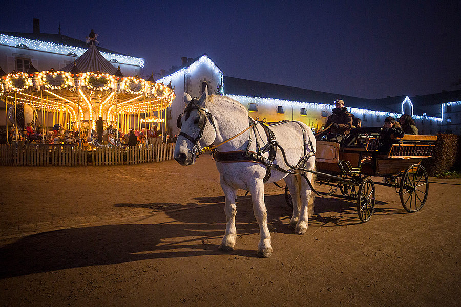 Noël au Haras de la Vendée Noël au Haras de la Vendée