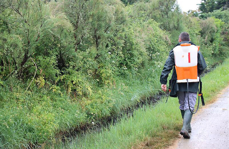 Cinq agents du Département s'occupent de réguler les populations de moustique dans douze communes du littoral.
