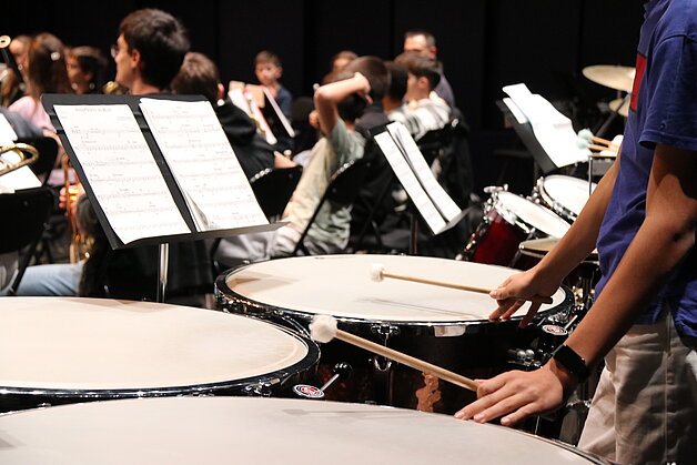 Élèves des conservatoires et des écoles de musque du Département.