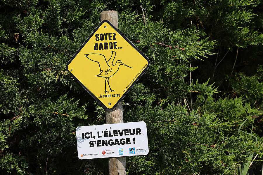 La ferme de l'Avocette rieuse