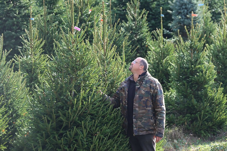 Fabien Blanchet, gérant de la sapinière O’Vent des Sapins à L’Oie