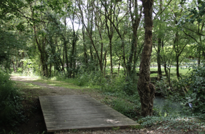 Marais de Doix-lès-Fontaines
