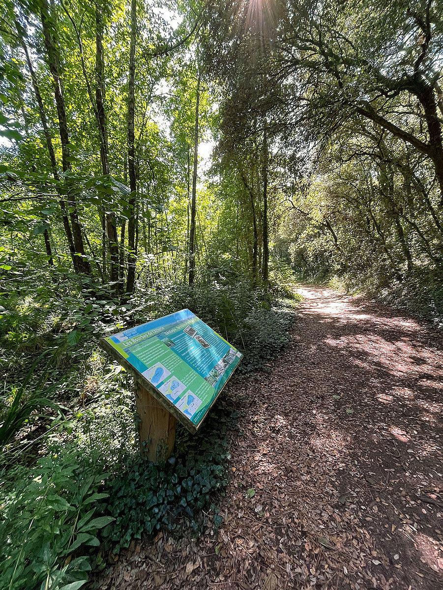 Guide Vendée rando : sillonez avec nous un sentier aux Sables d'Olonne